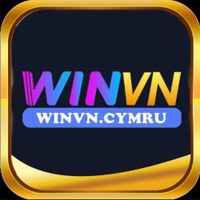 Profile image for winvncymru