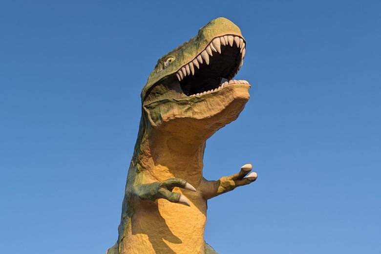 Stanley's Dinosaur Round-Up - Wikipedia