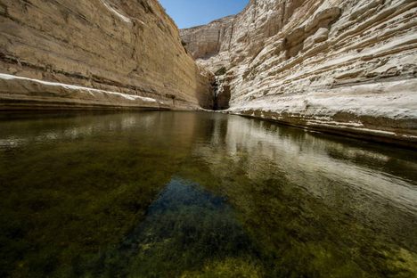 Ein Avdat pool and waterfall.