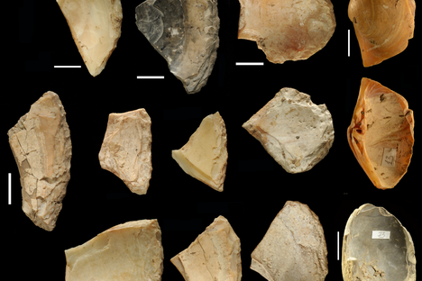 Shell game: Neanderthals likely found these cutting tools beneath the waves.