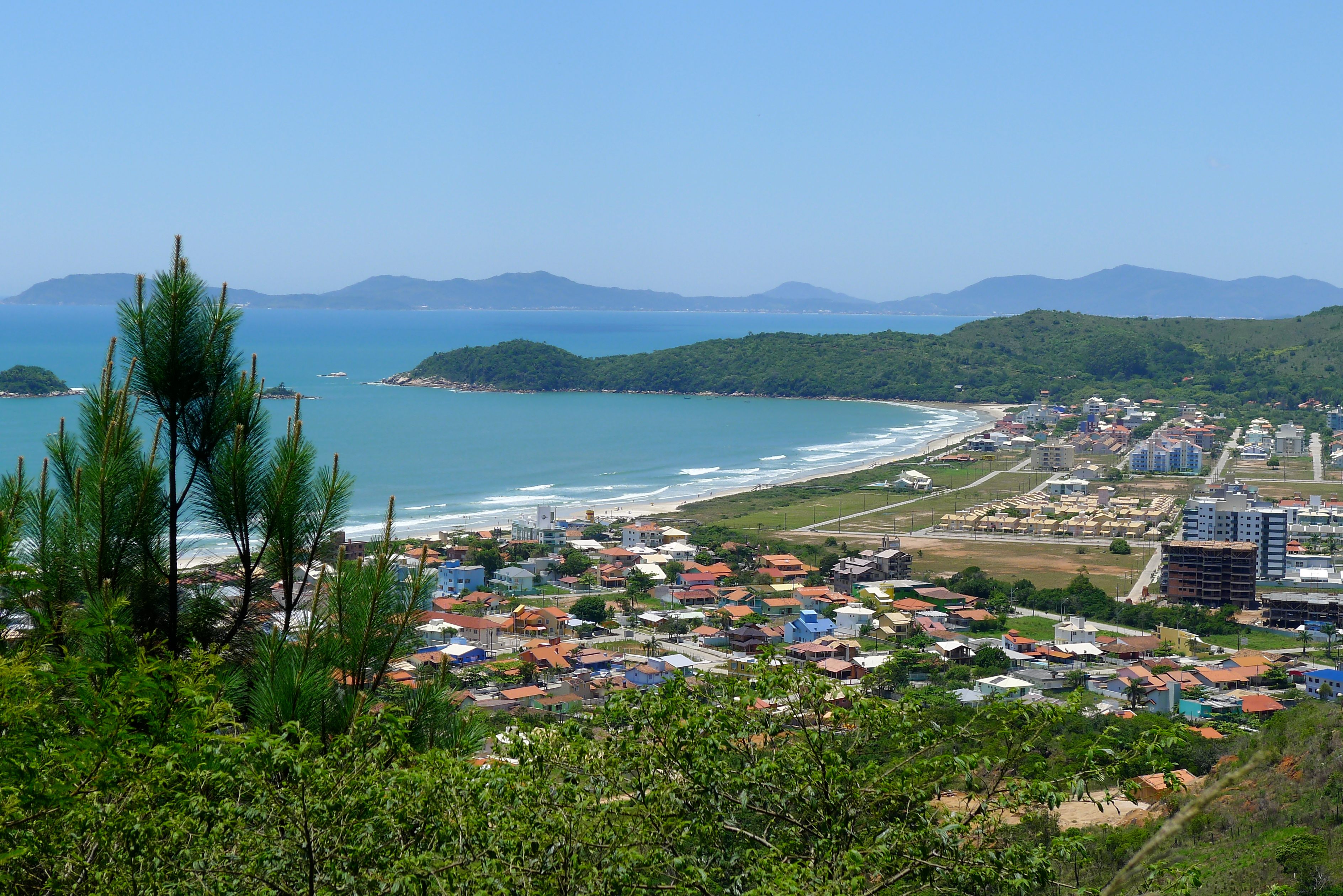 Palmas