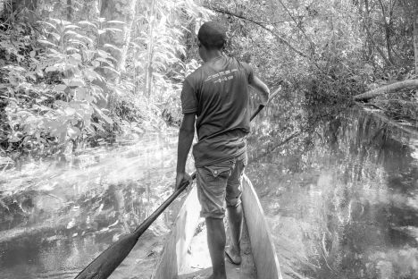 A Journey Into a Wondrous World Hidden Deep in the Congo Forest
