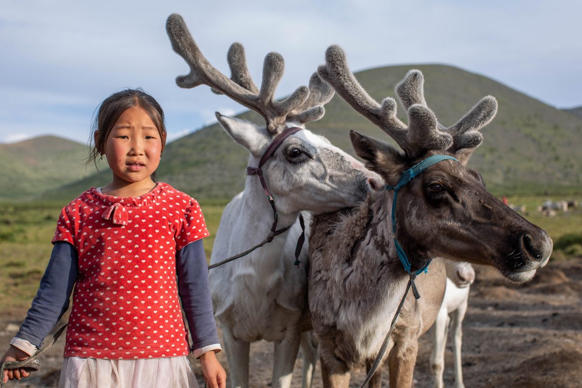 Everyone in the family helps with the chores, which includes staking up the reindeer at night to protect them from wolves.