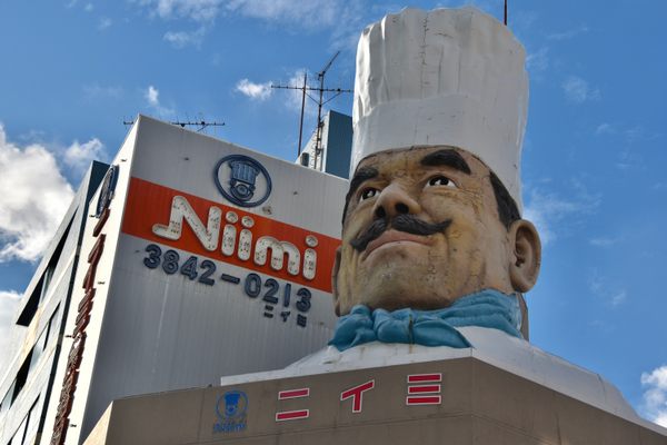 Niimi Jumbo Cook