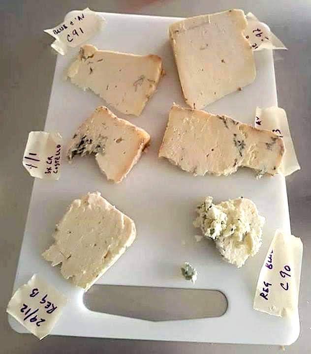 A taste-test of various LBD blue cheese varieties.