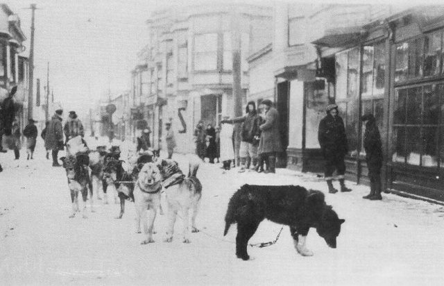 Balto the Sled Dog