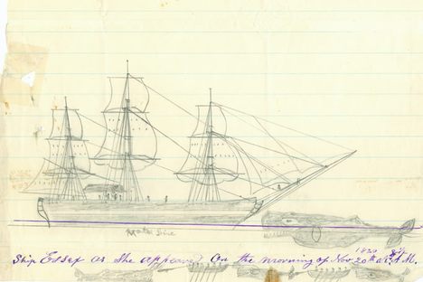 Objects of Intrigue: The Drawing of the Whale That Became Moby Dick