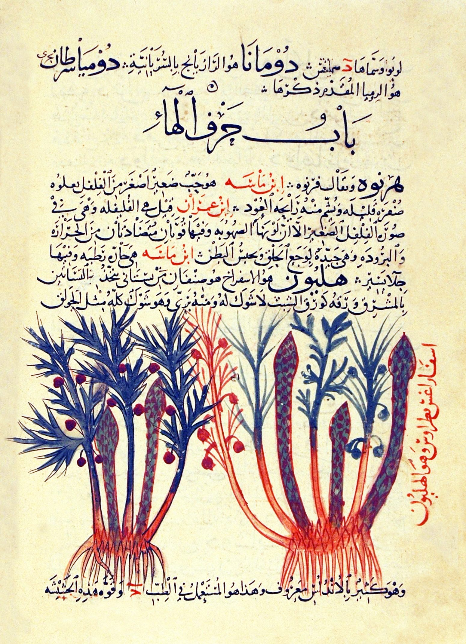 Nádherná al-Ghafiqiho bylina z 12. století