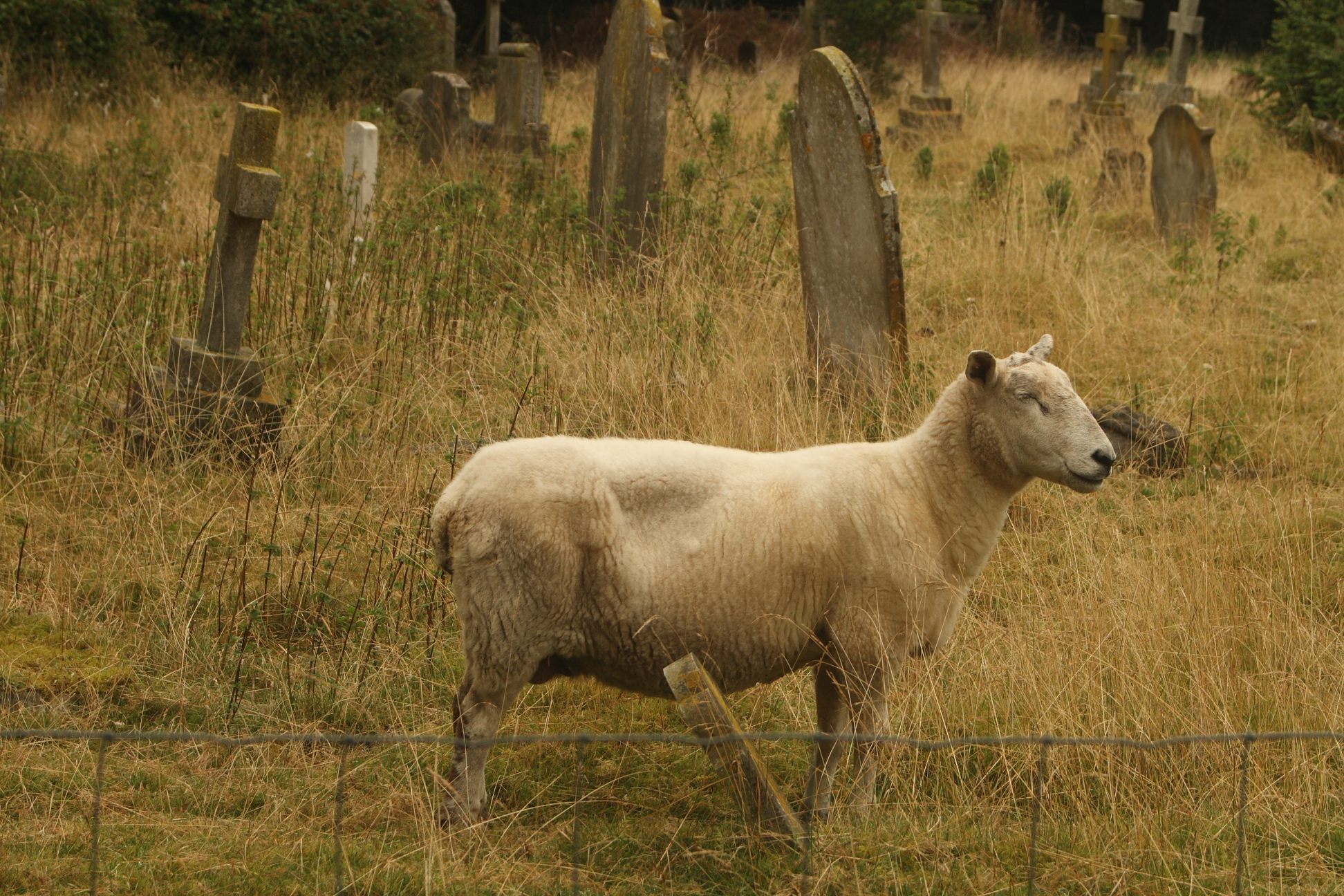 Cudham Churchyard in London. This looks about right.