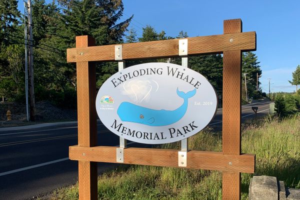 The whale on the sign forms a heart with its spout