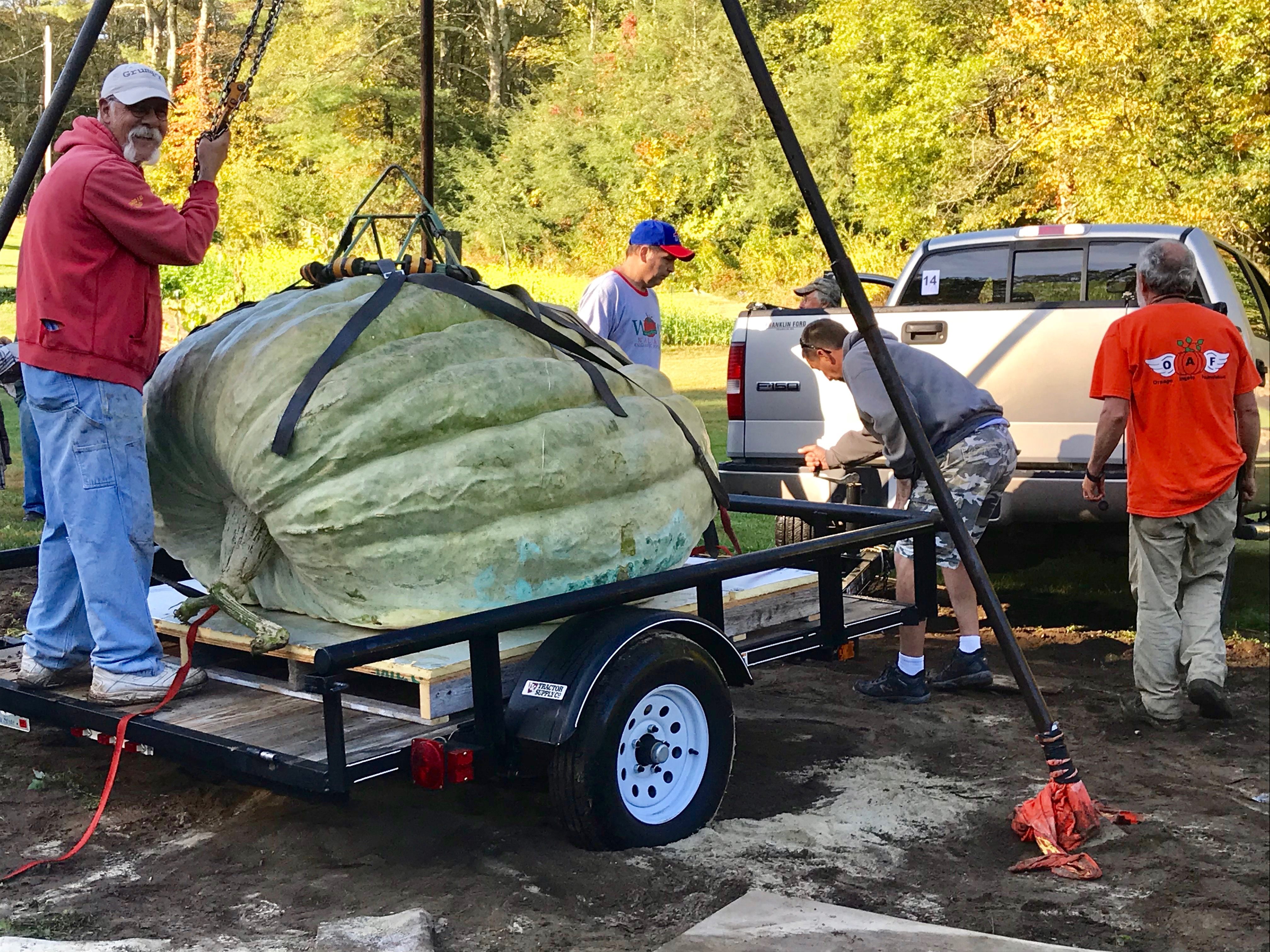 Loading up the green squash for competition time.
