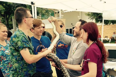 How to Get Rid of Your Exotic Pet, No Questions Asked