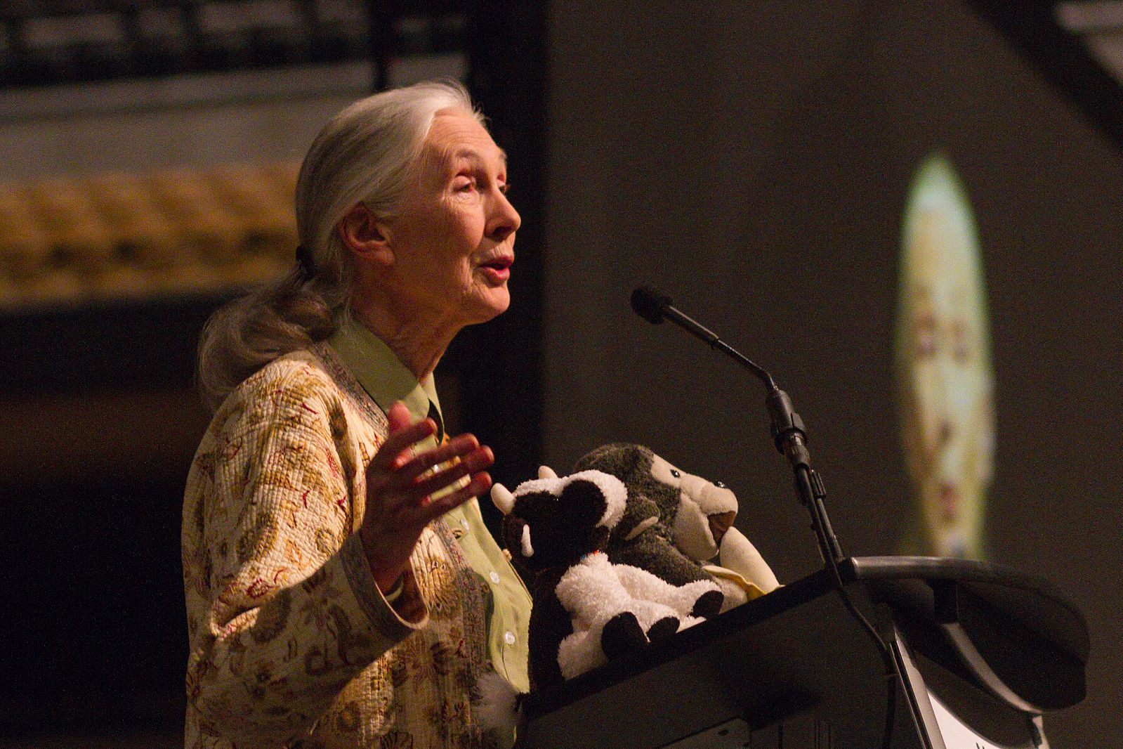 The primatologist Jane Goodall, who was a guest on the show in 2000, asked for pen and paper and a copy of <em>The Lord of the Rings</em>.