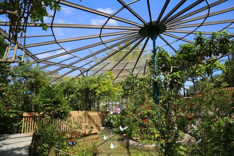 Butterfly World