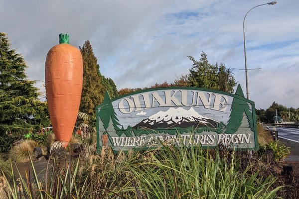 Ohakune Carrot