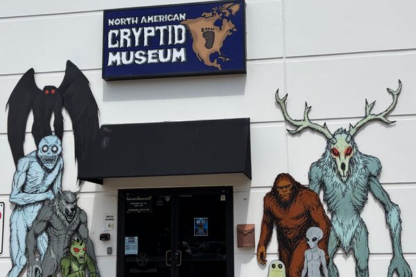 Texas Museum Brings North American Cryptids to Life