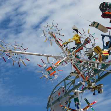 Whirligig Cyclist