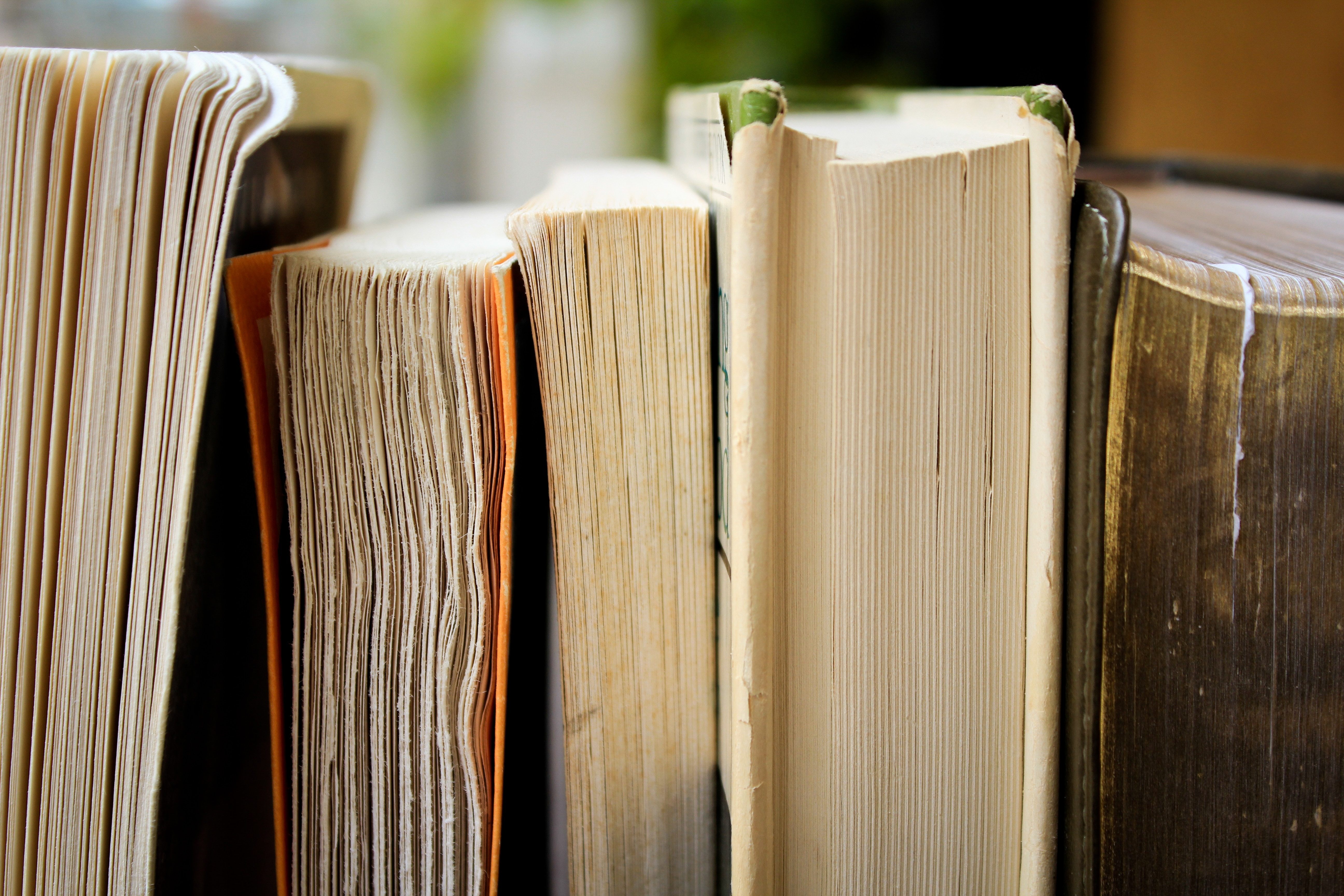 An original dust jacket can be the difference between a prize find and just another old book.