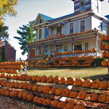 Pumpkin House day...
