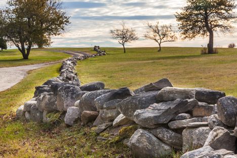 A stone wall stretches into the distance in Harpswell, Maine, one of thousands that together, by volume, are larger than the Great Wall of China, Hadrian's Wall, and the Pyramids of Giza combined.
