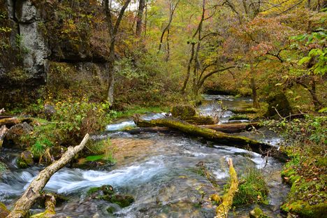 Greer Spring