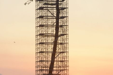 Miracle Tsunami Tree Resurrected as Sculpture
