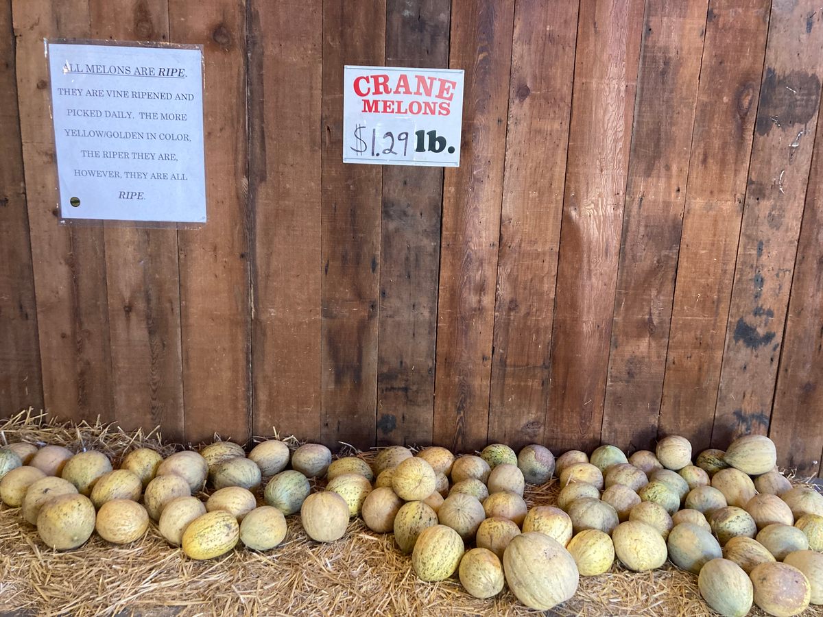 Crane Melon Barn Santa Rosa, California Gastro Obscura