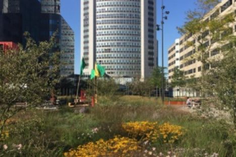 Orlyplein Roof Garden