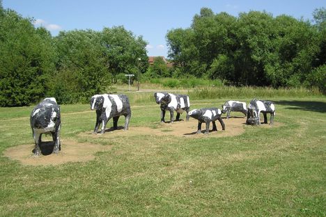 Concrete Cows