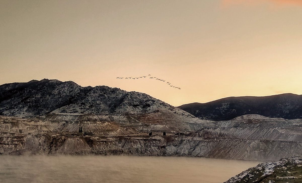 Snow geese fly away from Montana's Berkeley Pit after a sunrise hazing in 2021.