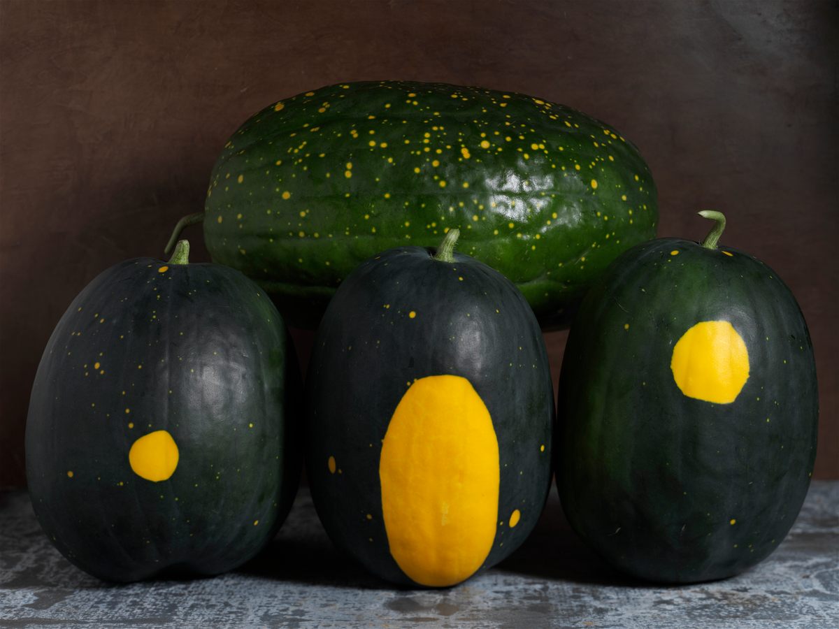 The Moon and Stars melon is named for its galactic-looking peel.