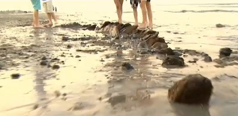 Secrets under the Sand: Shipwreck Discovered on Nantucket's South Shore