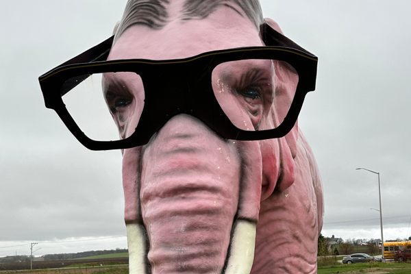 Pinkie the Pink Elephant