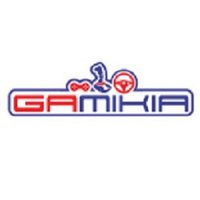 Profile image for gamikia