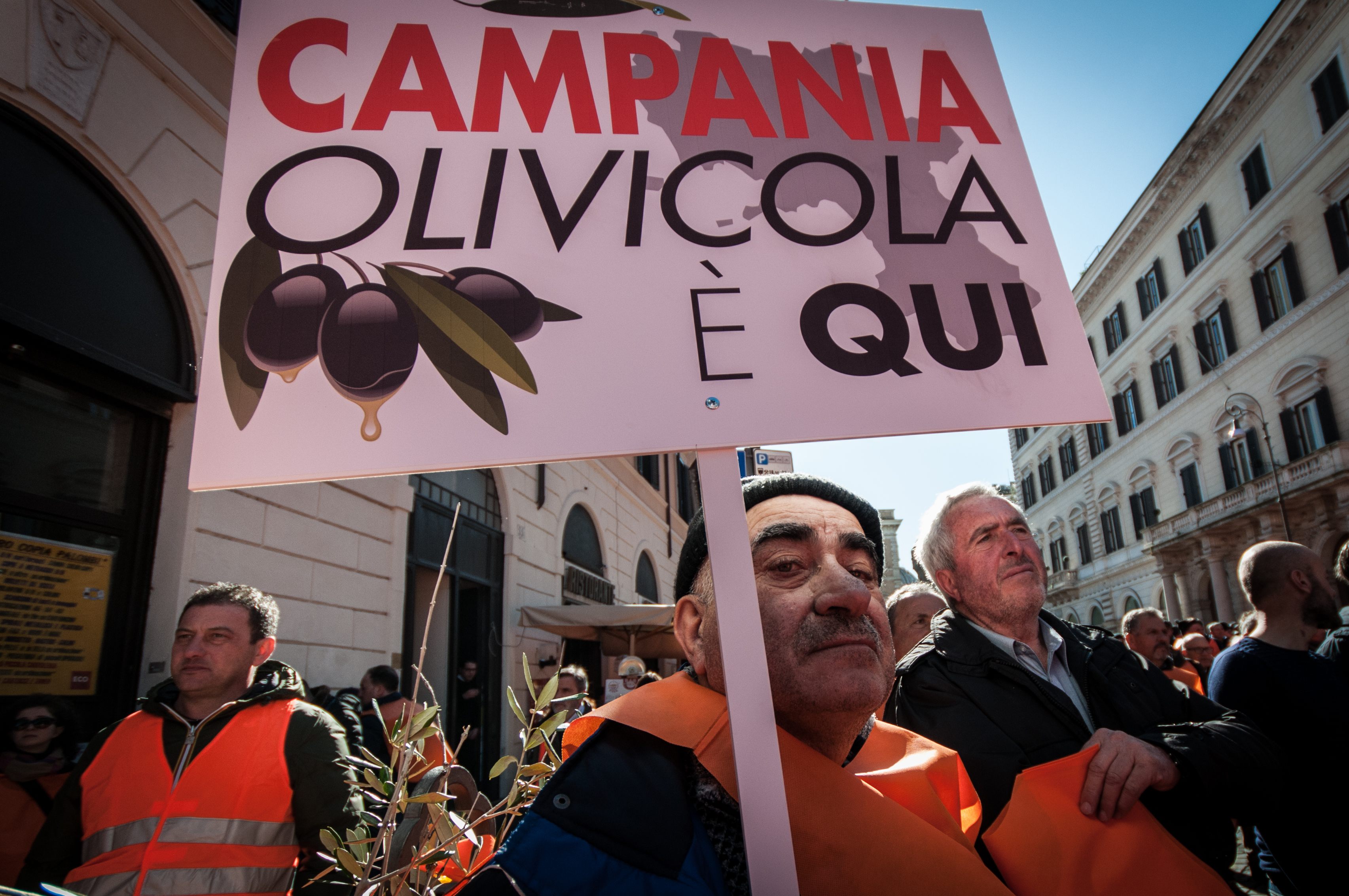 Orange-vested olive growers demonstrate in Rome over the crisis in Puglia's olive groves. 