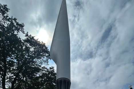The Pike