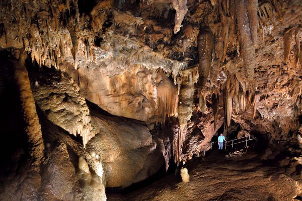 每个洞穴的美丽装饰都能告诉我们一些关于我们之前的世界的事情。