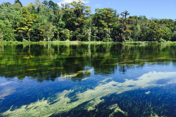 Wakulla Springs, fed by the world’s largest freshwater spring, features a 10-mile paddling trail that’s ideal for novice kayaking enthusiasts. 