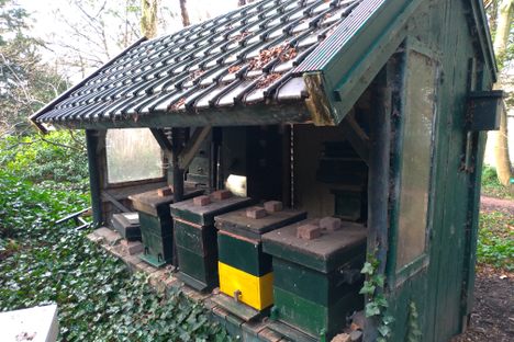 Schoonoord Historical Garden