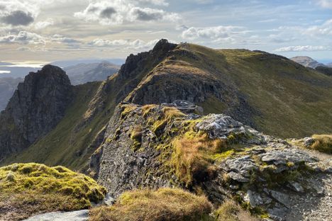 The Cobbler