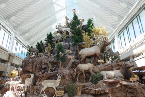 Scheels Sporting Goods