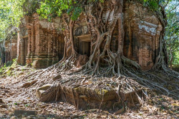 A Khmer temple at Koh Ker.