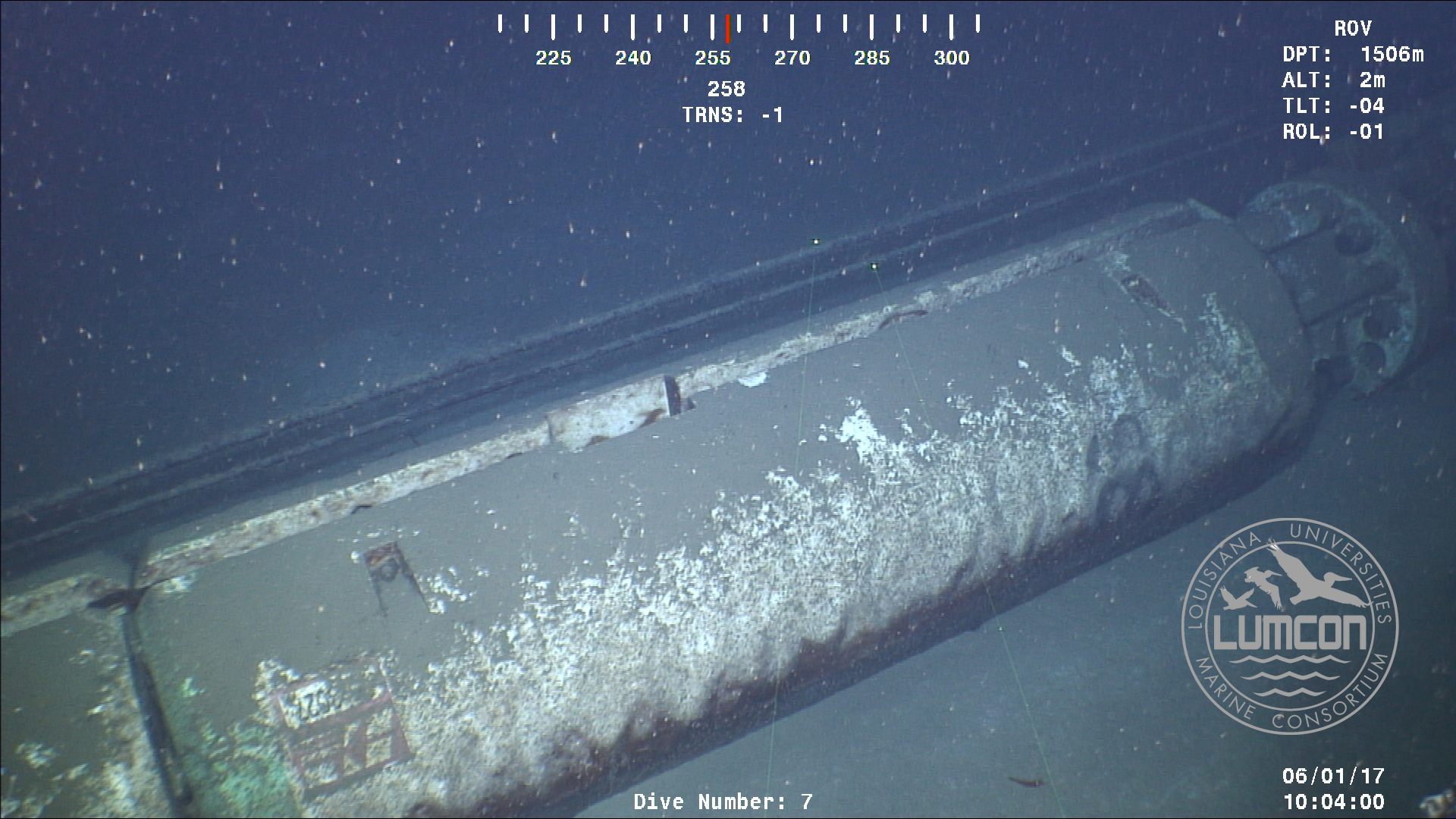 Any hard substrate would normally colonized by deep-sea corals, but the rig wreck is vacant.