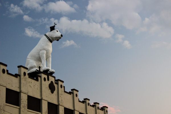 Nipper looks out over the Warehouse District on a clear February day.
