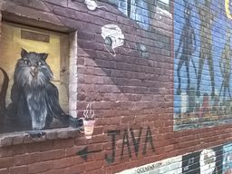 Cat Alley Murals