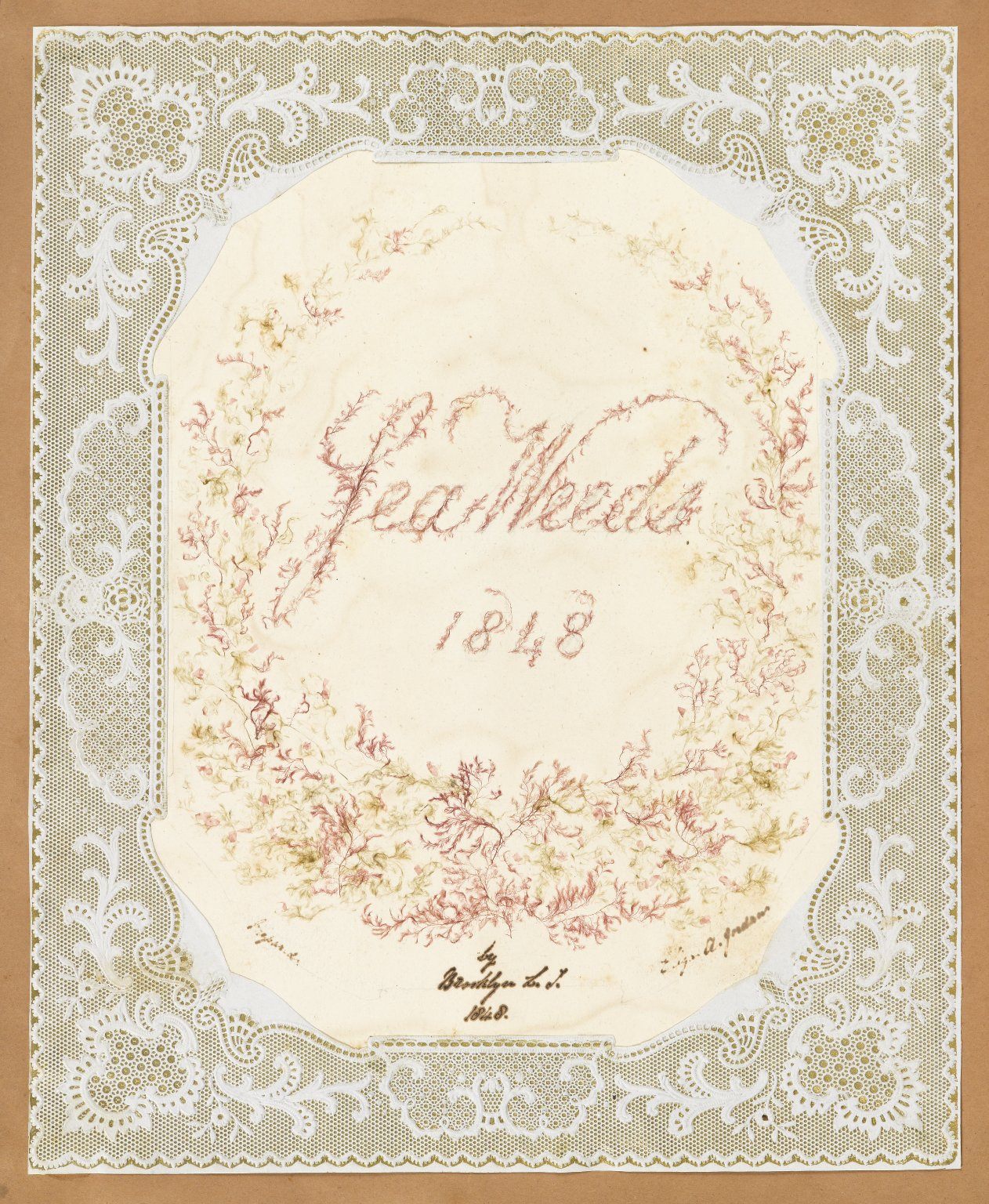 victorian seaweed scrapbook