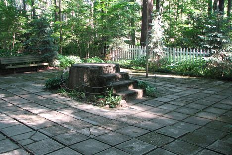 Inspiration Stump