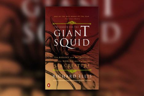 Wishlist: An Essential History of Giant Squid