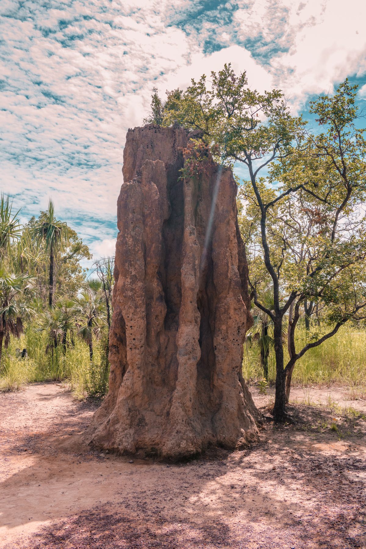 Random Mounds Magnetic Termite Mounds – Litchfield Park, Australia - Atlas Obscura
