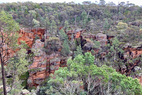 Alligator Gorge